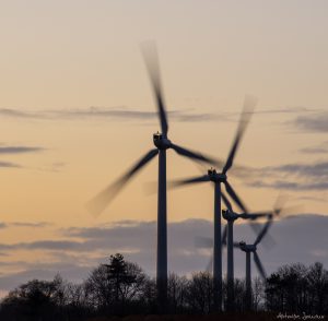 fournisseurs d'électricité éolienne