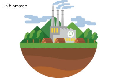 Fournisseur énergie biomasse